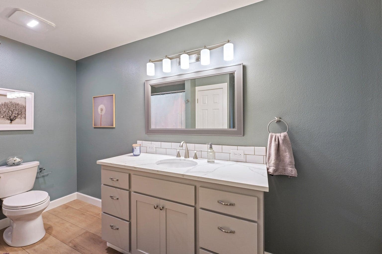 Guest bathroom