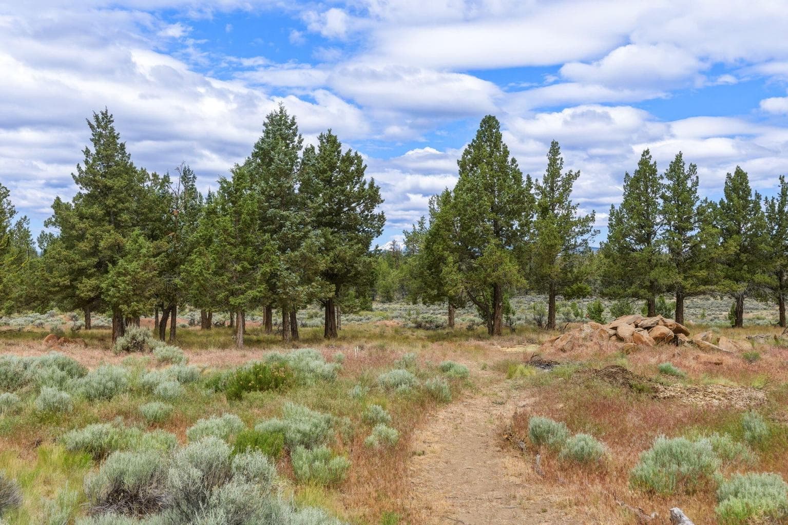 Photo of 17584 Mountain View Road 62 of 71