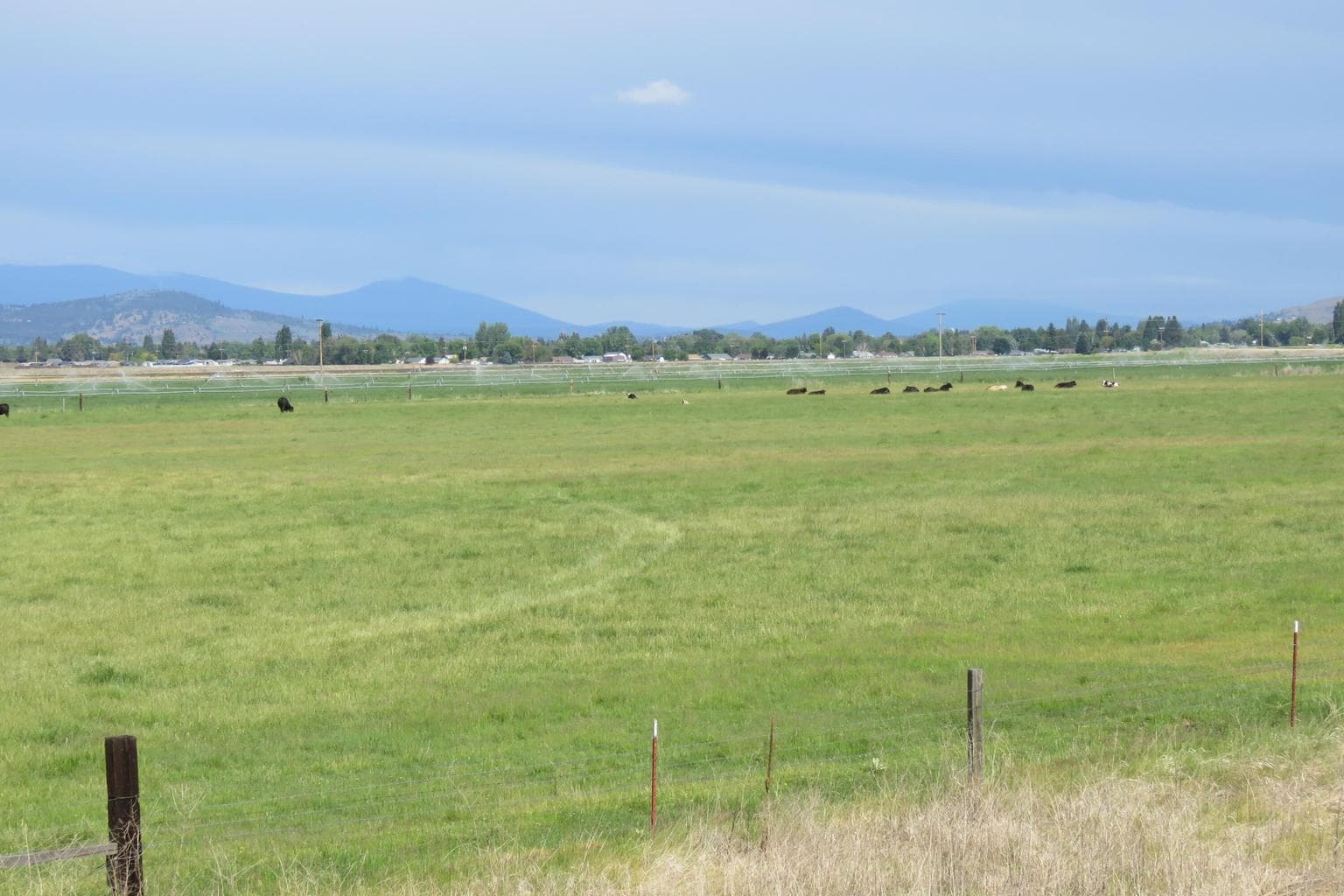 Photo of 5820 Highway 39 2 of 53