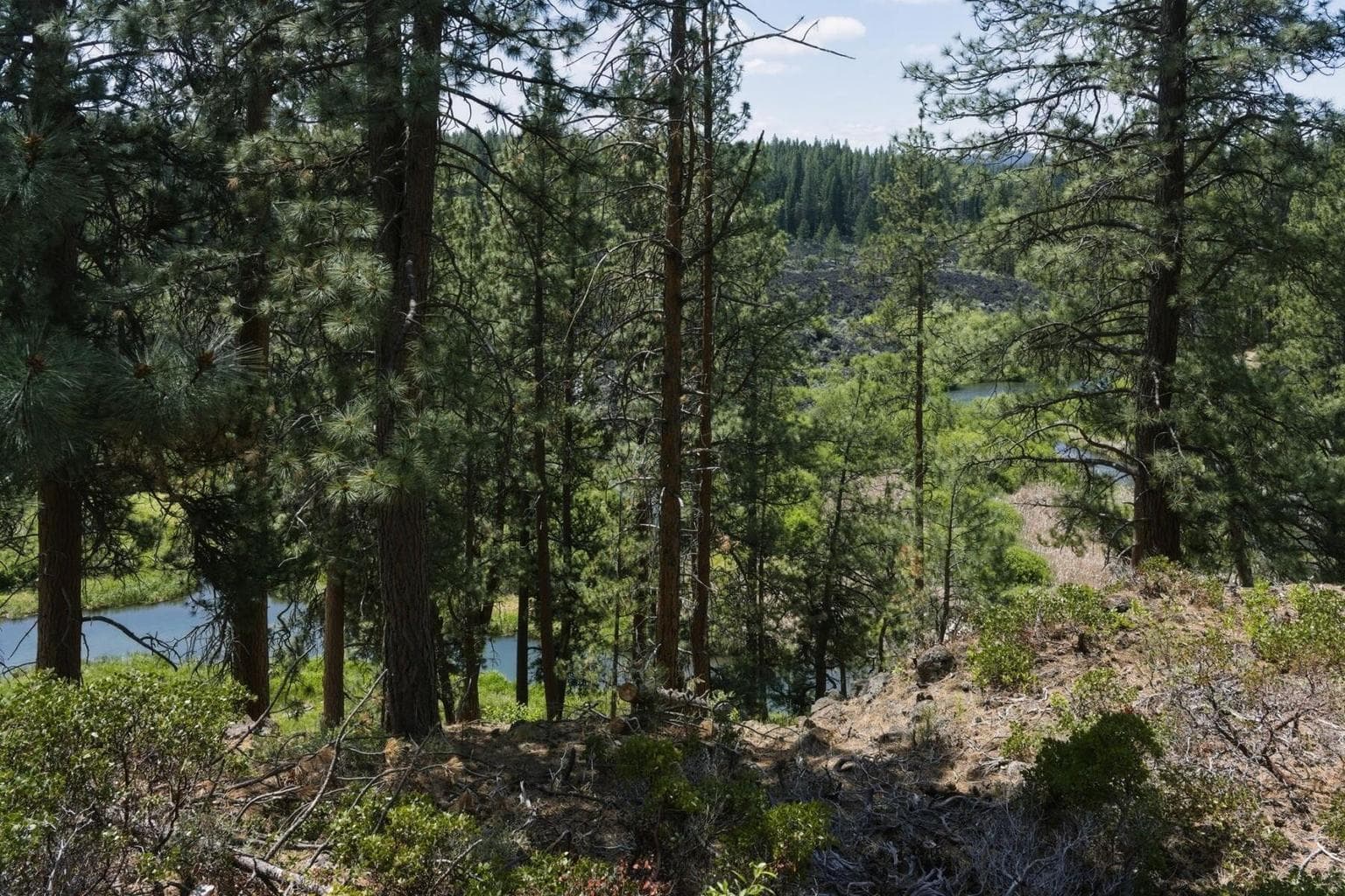 Views, nature & wildlife outside your door