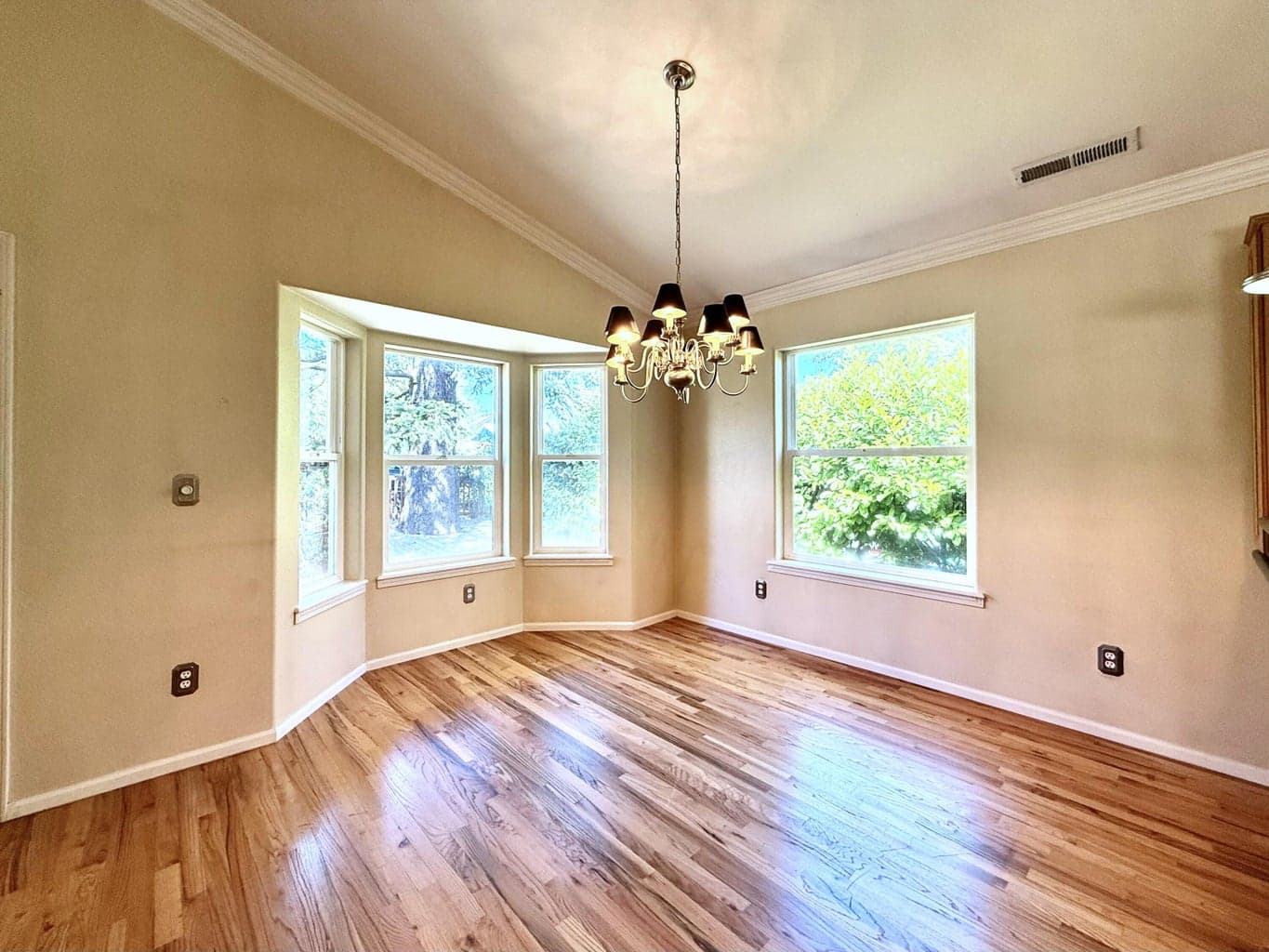 Photo of 808 Keene Way 5 of 23