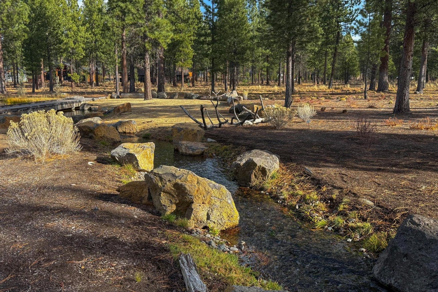 Photo of 56319 Mirror Rock 4 of 6