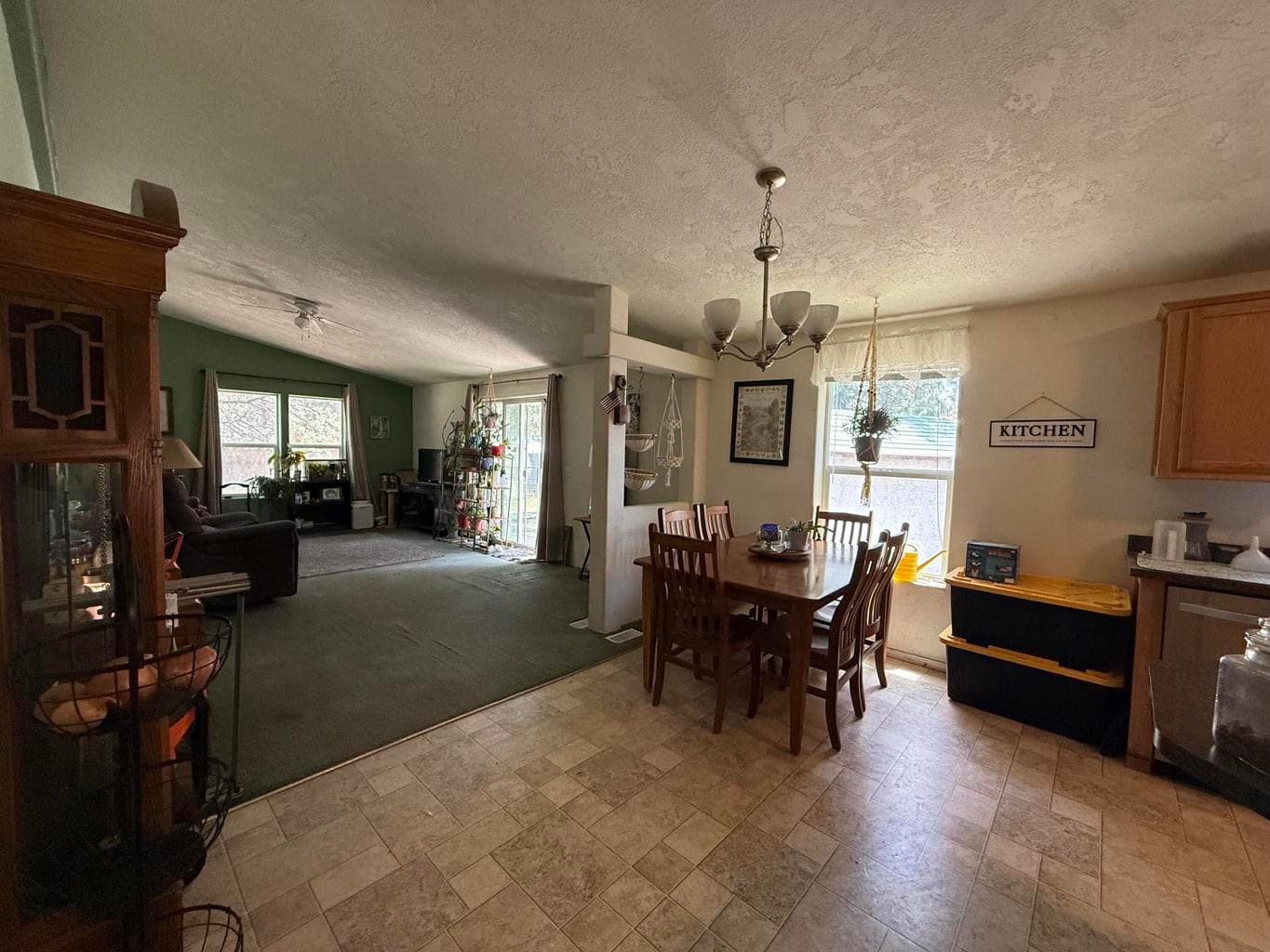 Photo of 148829 Paul 5 of 14