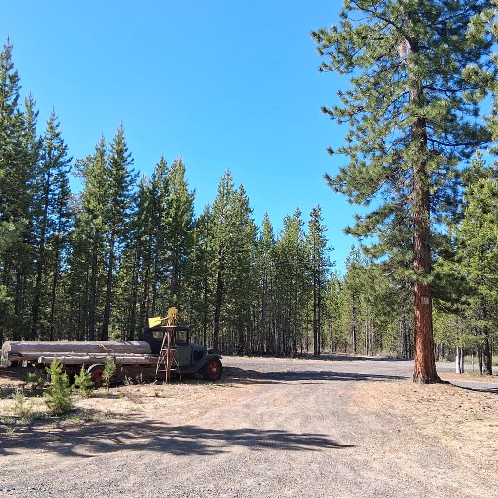 Photo of 123977 Surveyor 5 of 41