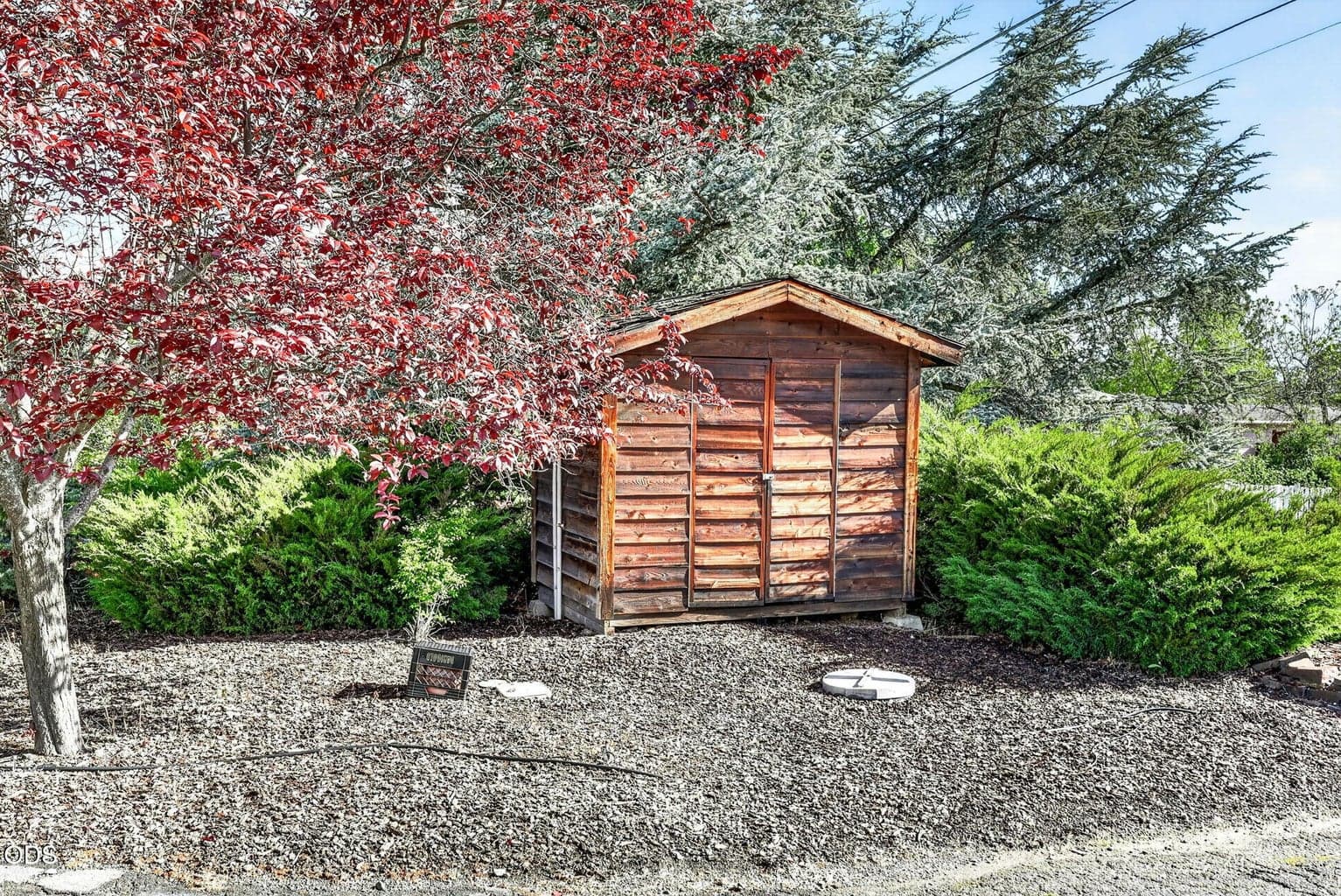 Photo of 2076 Magnolia 4 of 44
