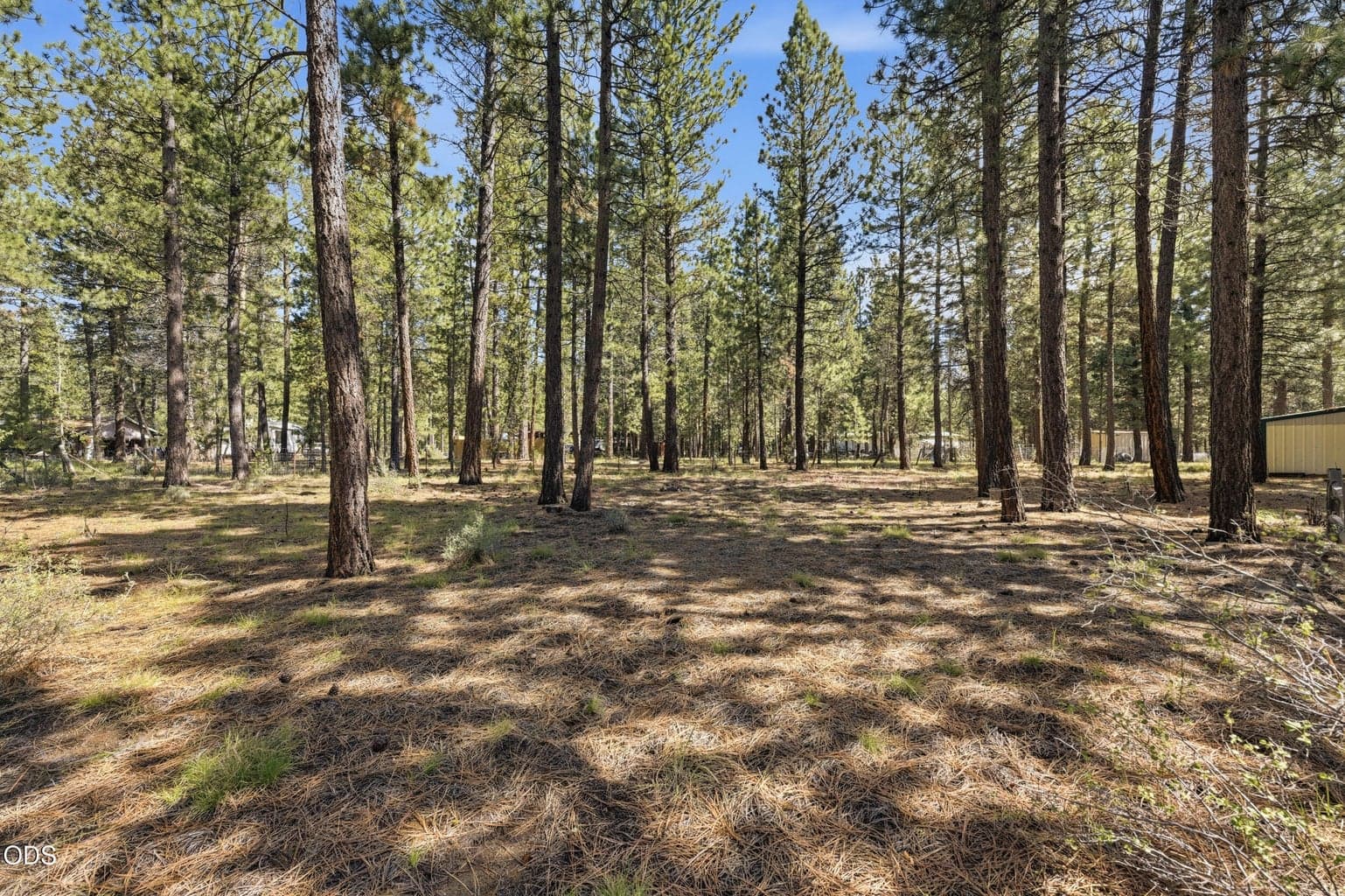 Photo of 15640 Woodgreen Court 49 of 51