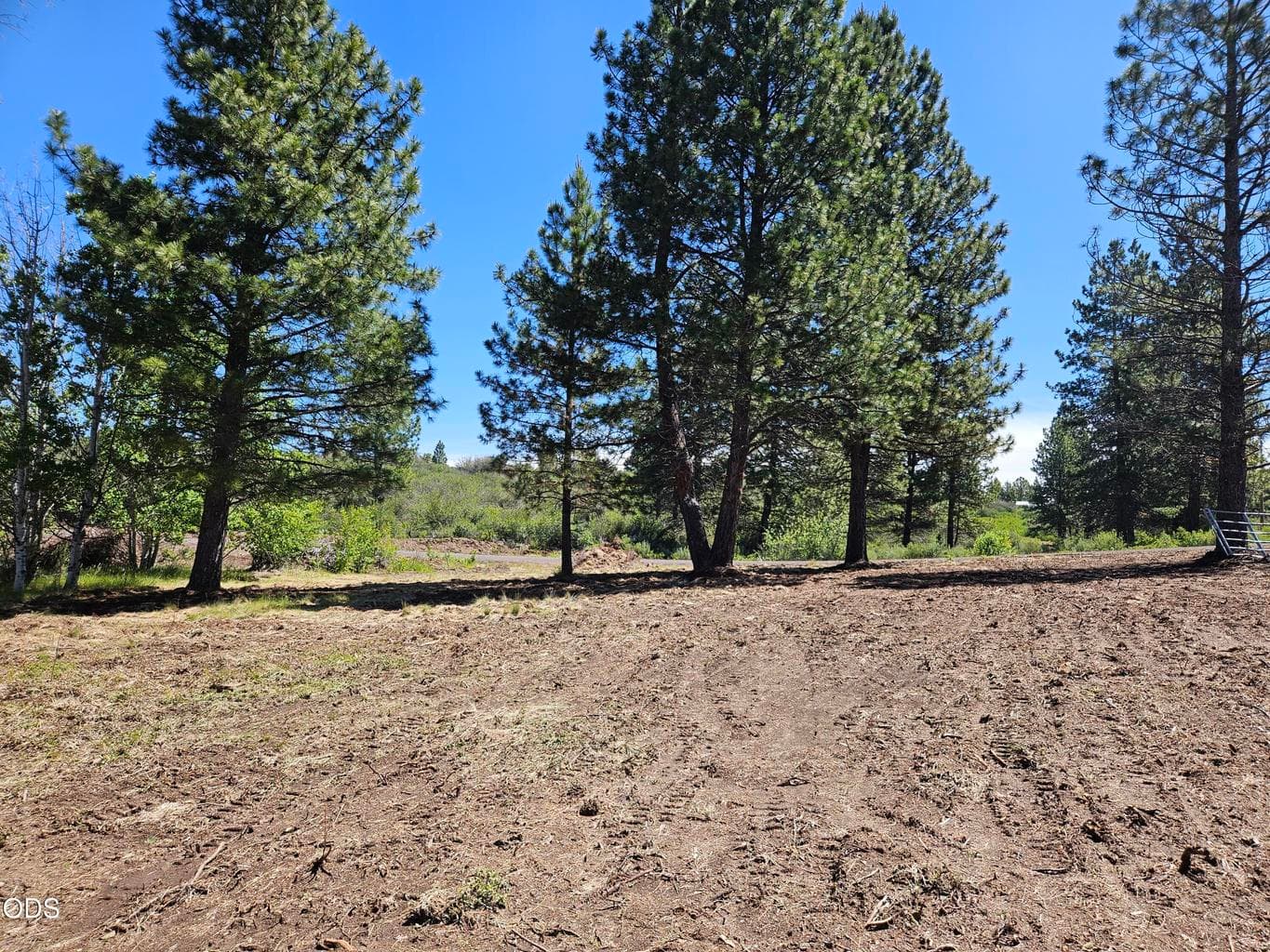 Photo of 0 Forest View 4 of 21