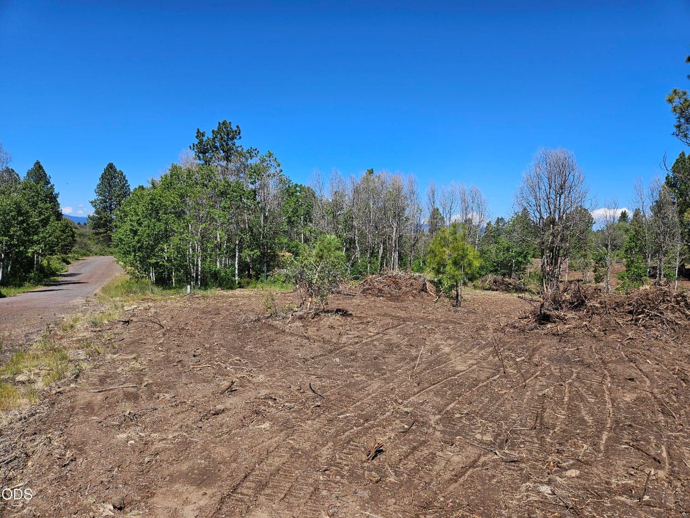 Photo of 0 Forest View 2 of 21