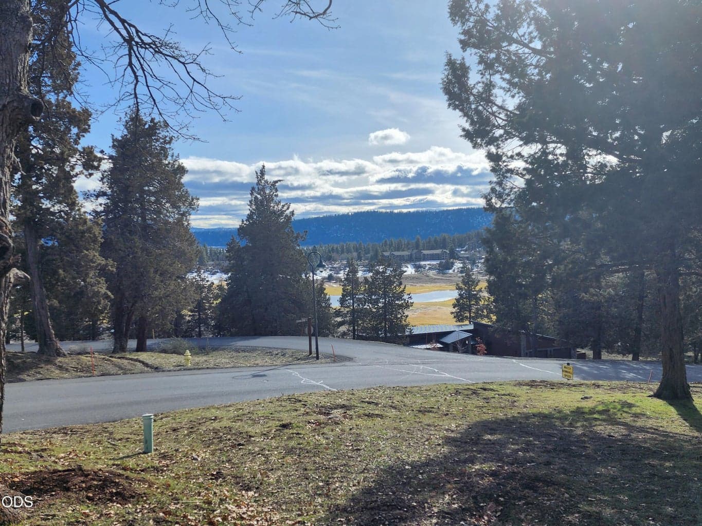 Coopers Hawk, Klamath Falls, 97601