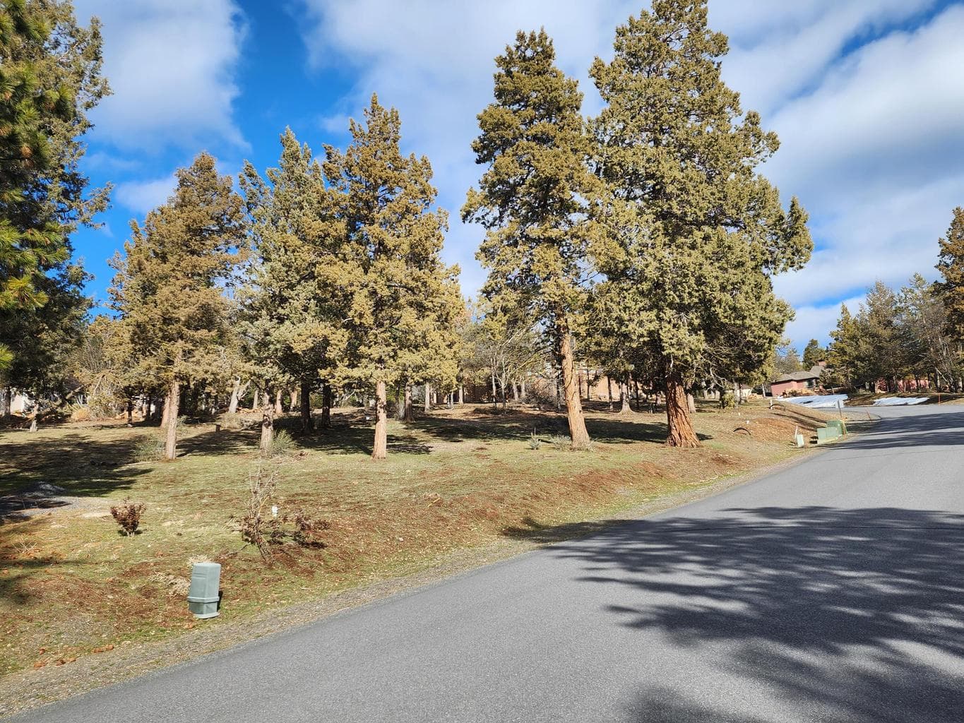 Coopers Hawk, Klamath Falls, 97601