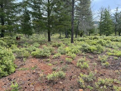 Central location of the l acre parcel. Easily cleared to make a great home site.