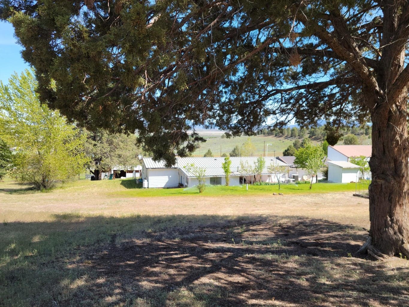 Photo of 861 Russell 2 of 76