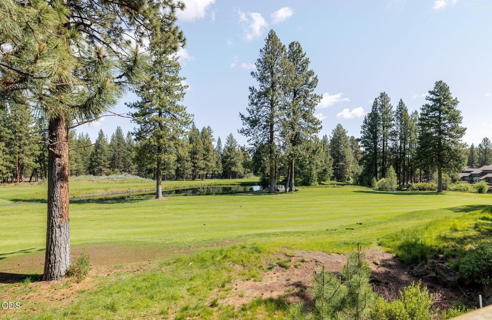 Photo of 60454 Kangaroo Loop 24 of 51