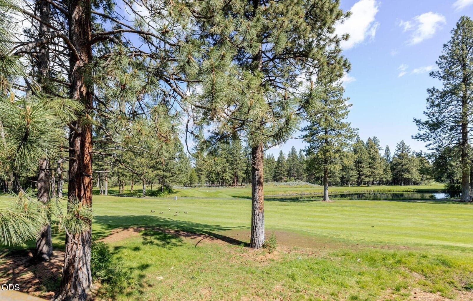 Photo of 60454 Kangaroo Loop 25 of 51