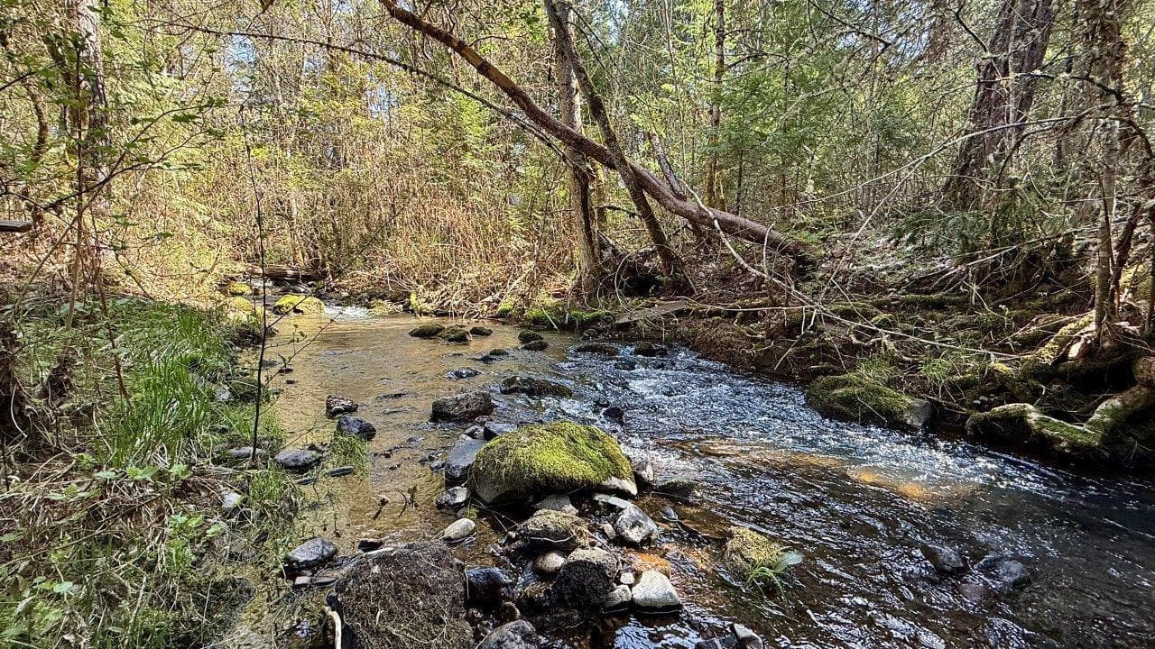 Photo of 1760 Mill Creek 2 of 37