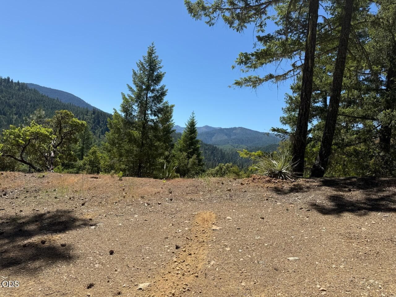 notice the cacti plants there that are not native to the area.