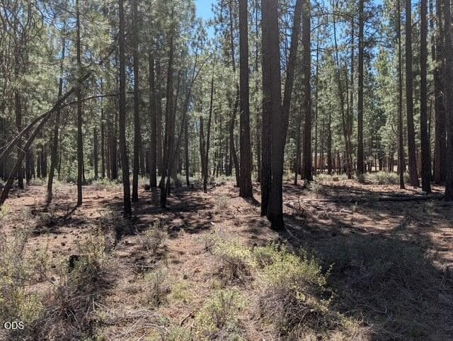 51600 Pine loop drive, La Pine, 97739