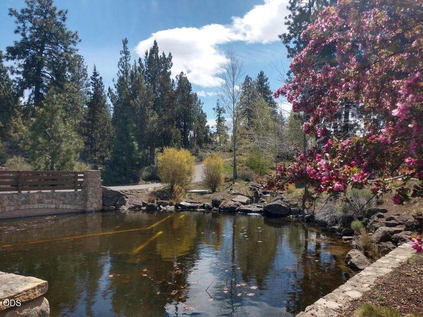 Bridges community pond & waterfeature