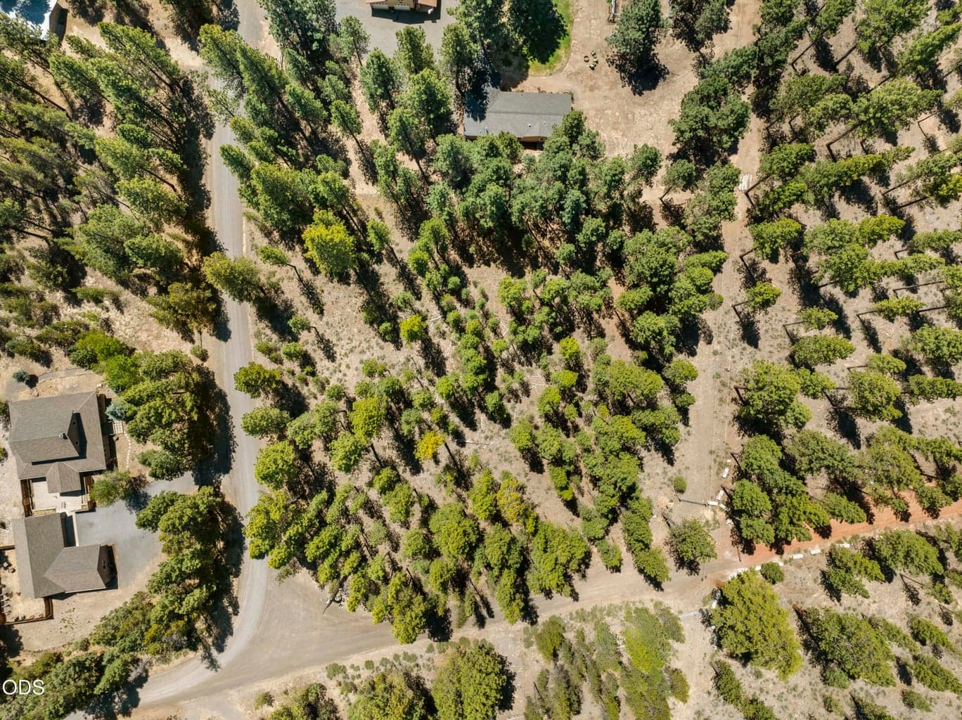 51600 Pine loop drive, La Pine, 97739