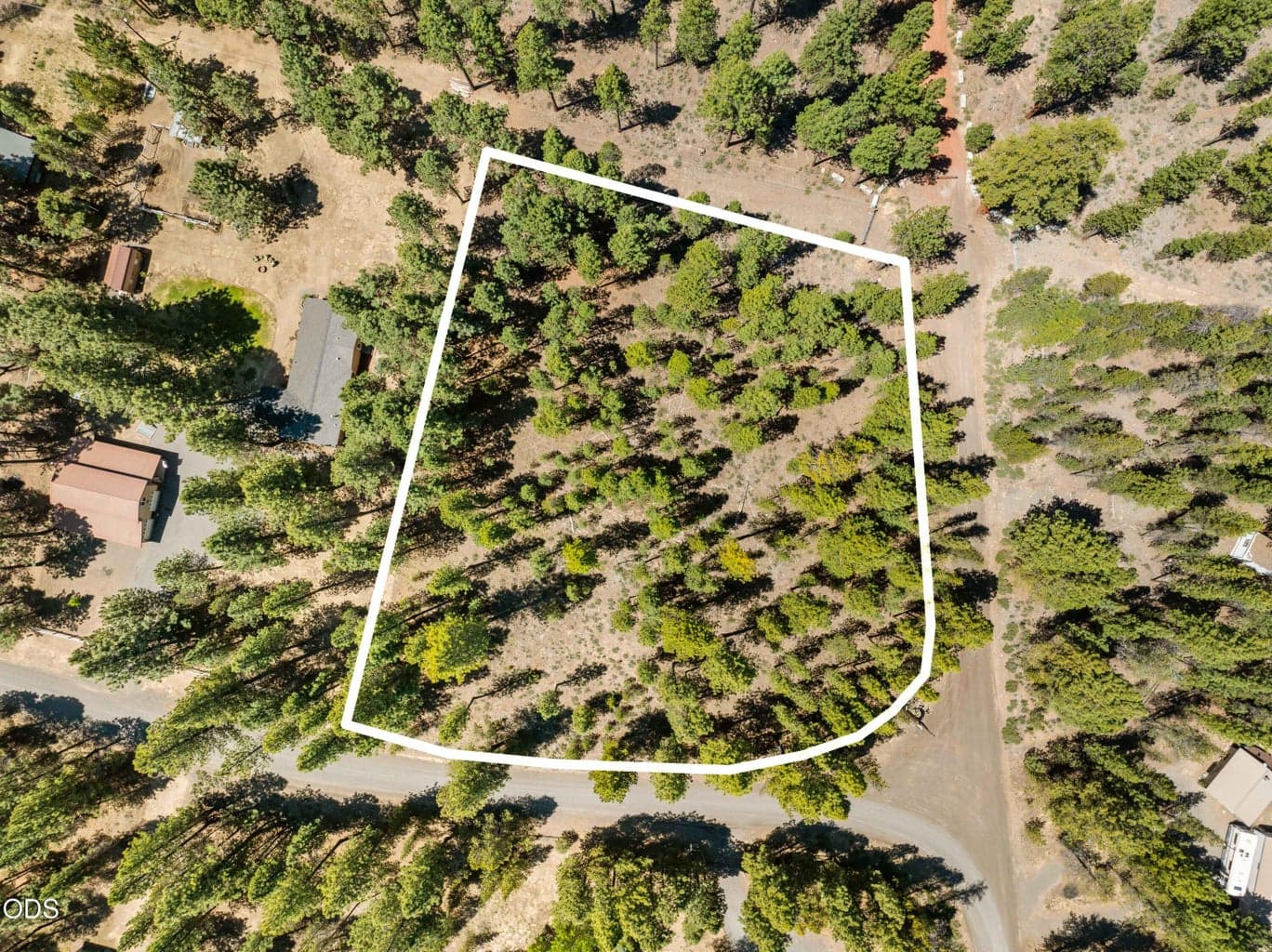 Photo of 51600 Pine Loop 2 of 20