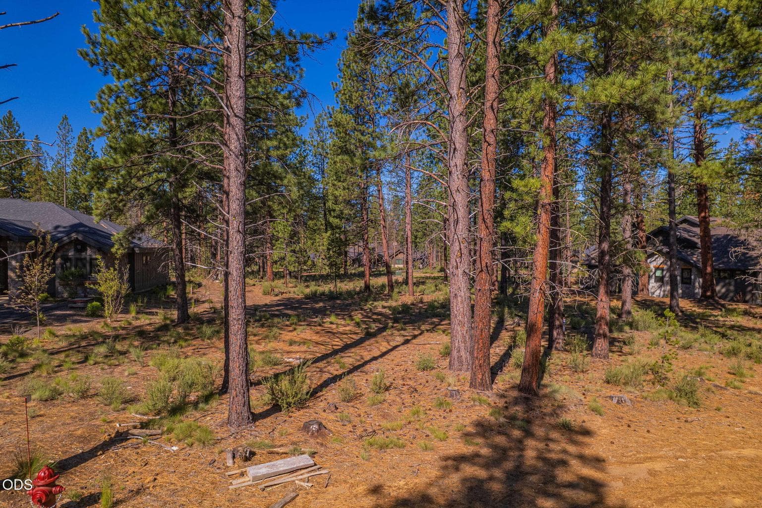 Photo of 56342 Mirror Rock 4 of 37