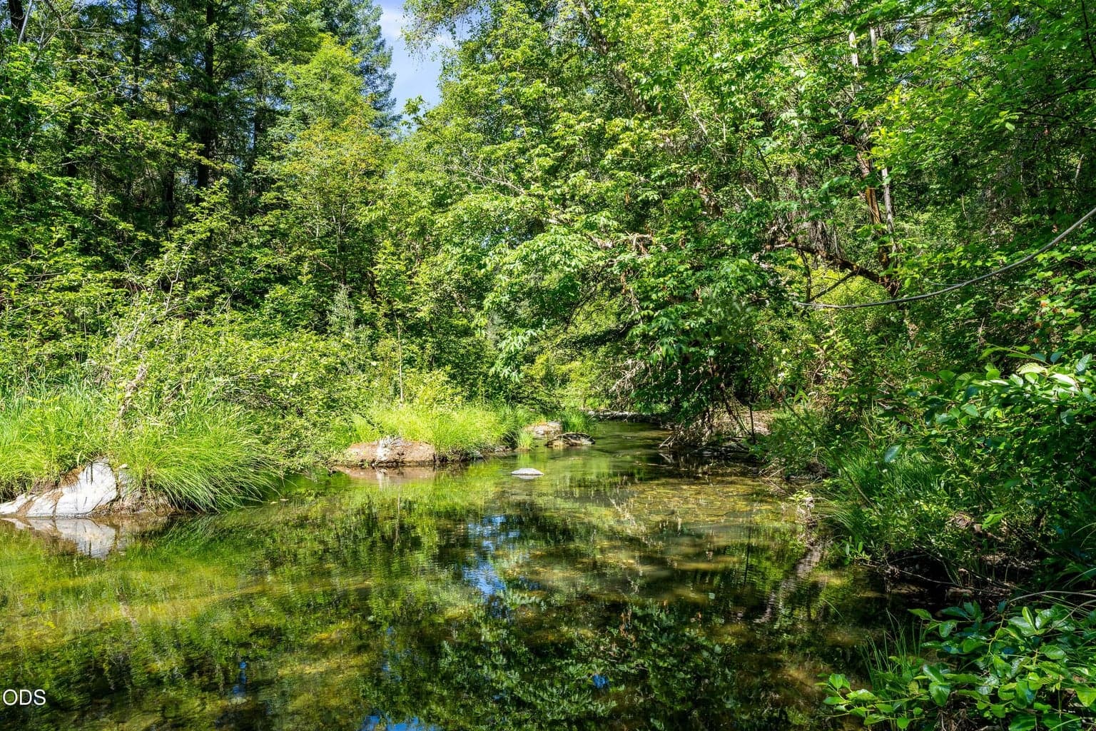 Photo of 0 Lower Grave Creek 1 of 21