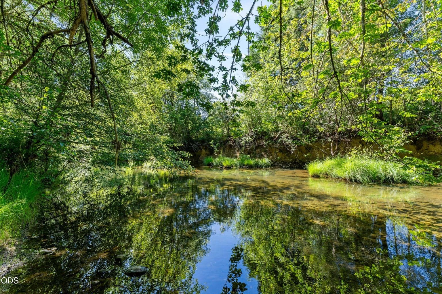 Photo of 0 Lower Grave Creek 3 of 21