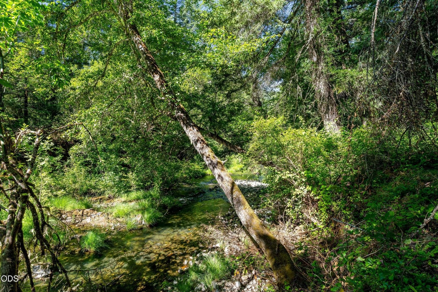 Photo of 0 Lower Grave Creek 4 of 21