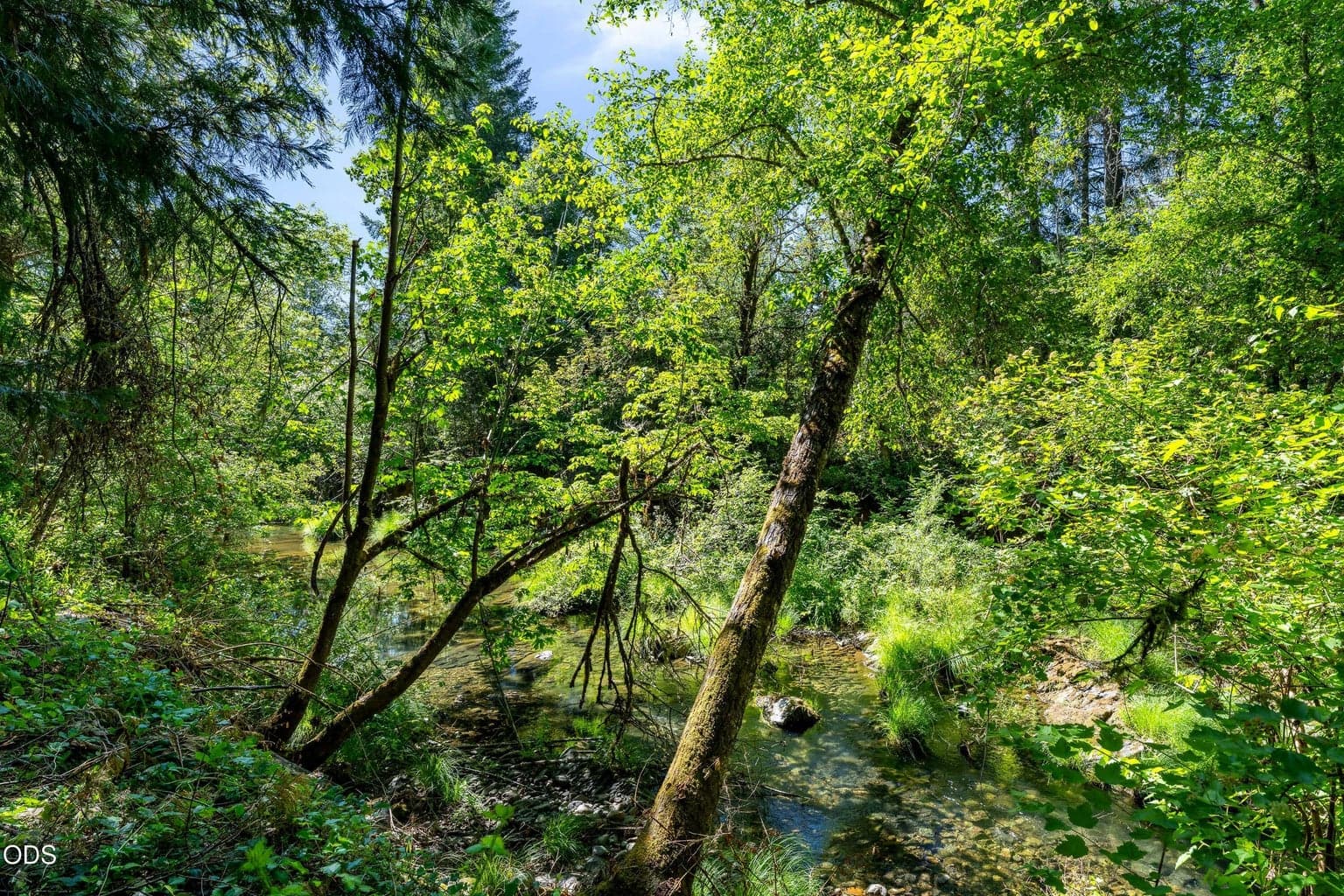 Photo of 0 Lower Grave Creek 5 of 21