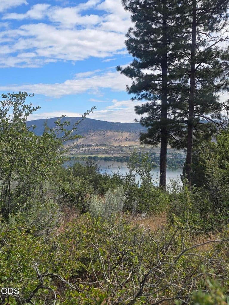 857 Bailey Mountain