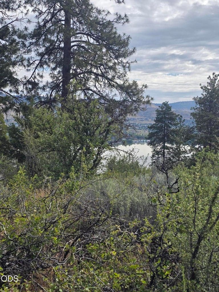 Photo of 857 Bailey Mountain 2 of 9