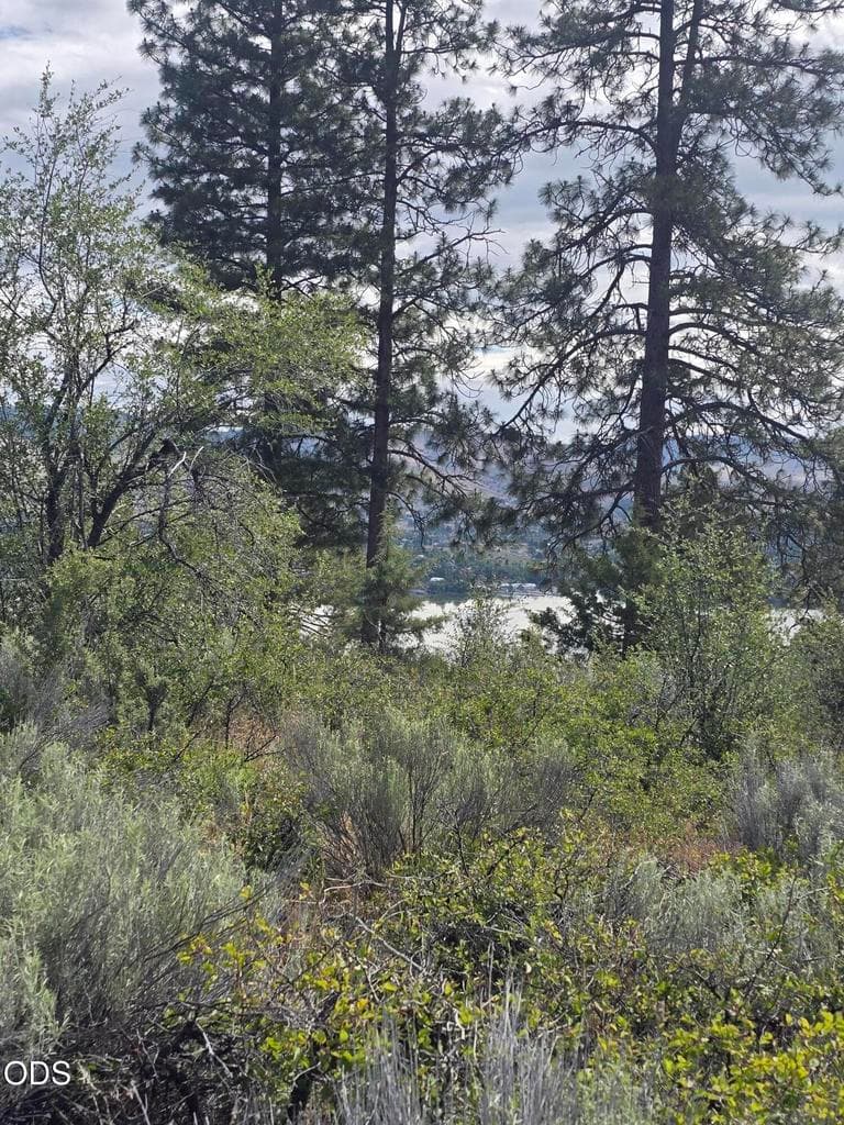 Photo of 857 Bailey Mountain 3 of 9