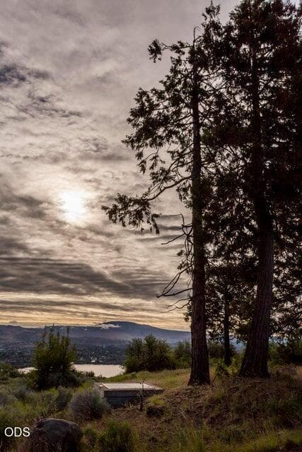 Photo of 857 Bailey Mountain 4 of 9