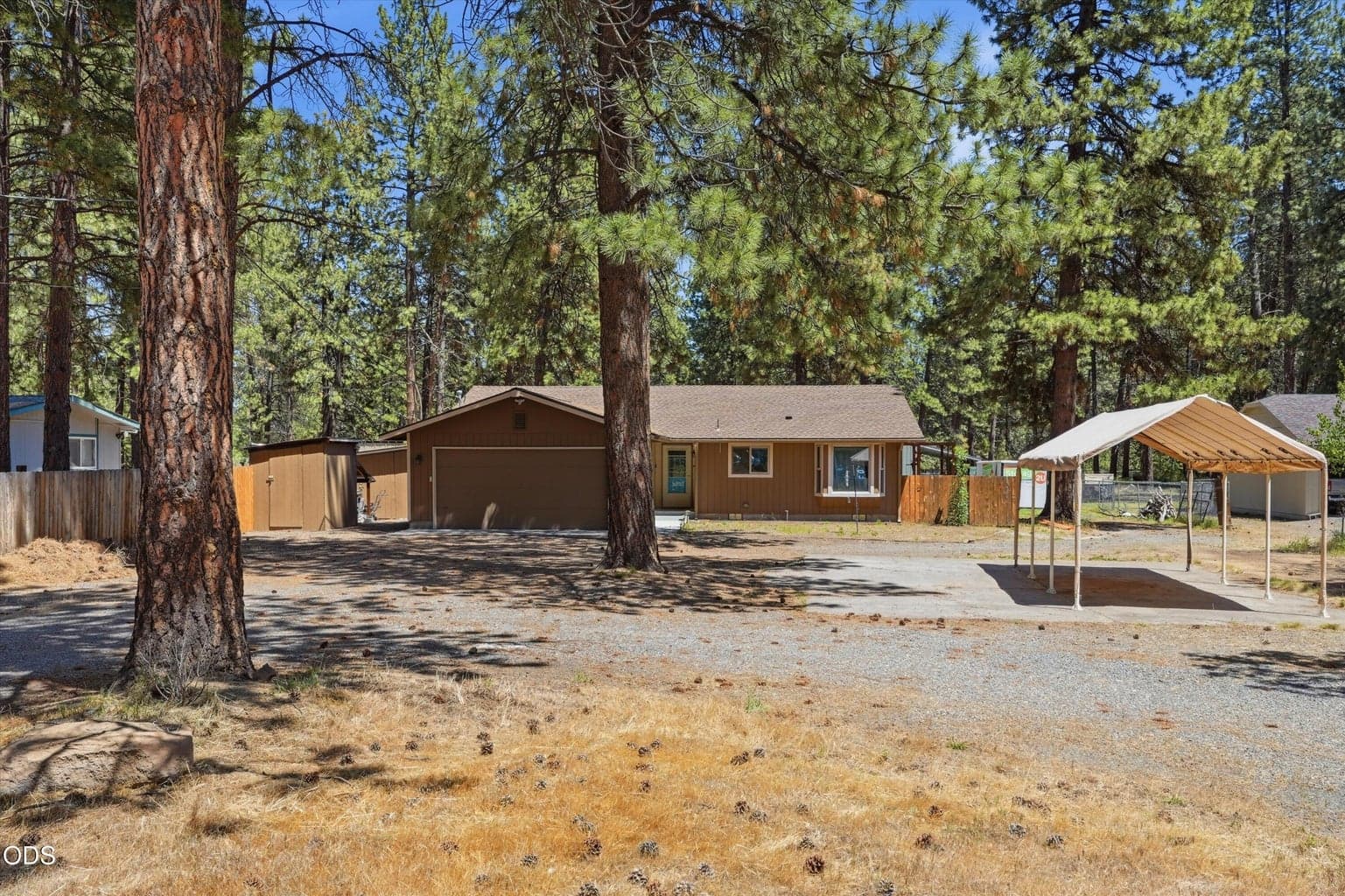 Photo of 60282 Pawnee 2 of 42