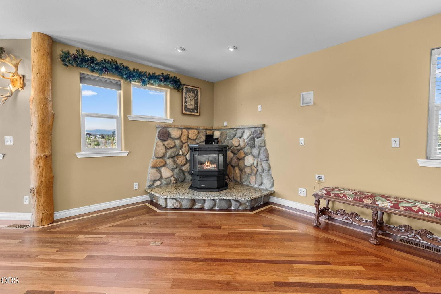 Pellet stove in Living room