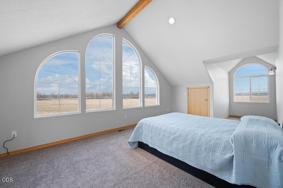Photo of 24585 Dodds Road 55 of 108
