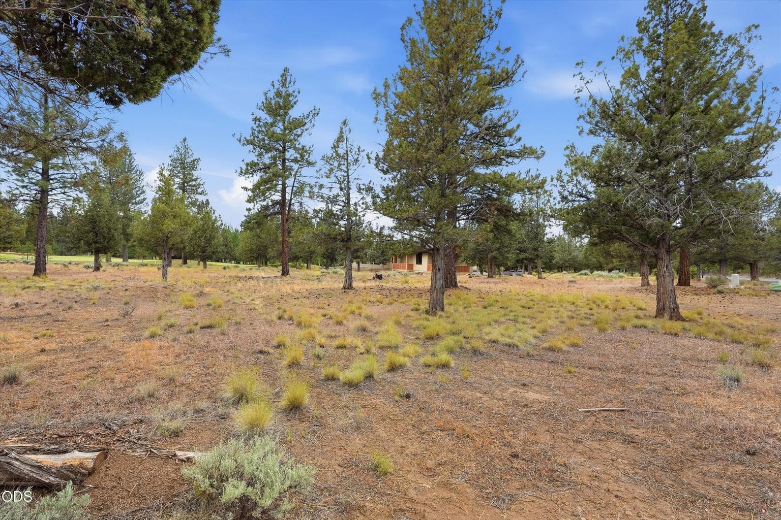 Photo of 17057 Golden Stone Drive 15 of 25