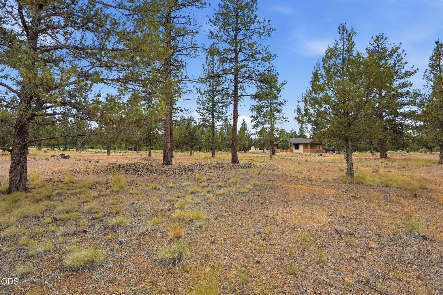 Photo of 17057 Golden Stone Drive 16 of 25