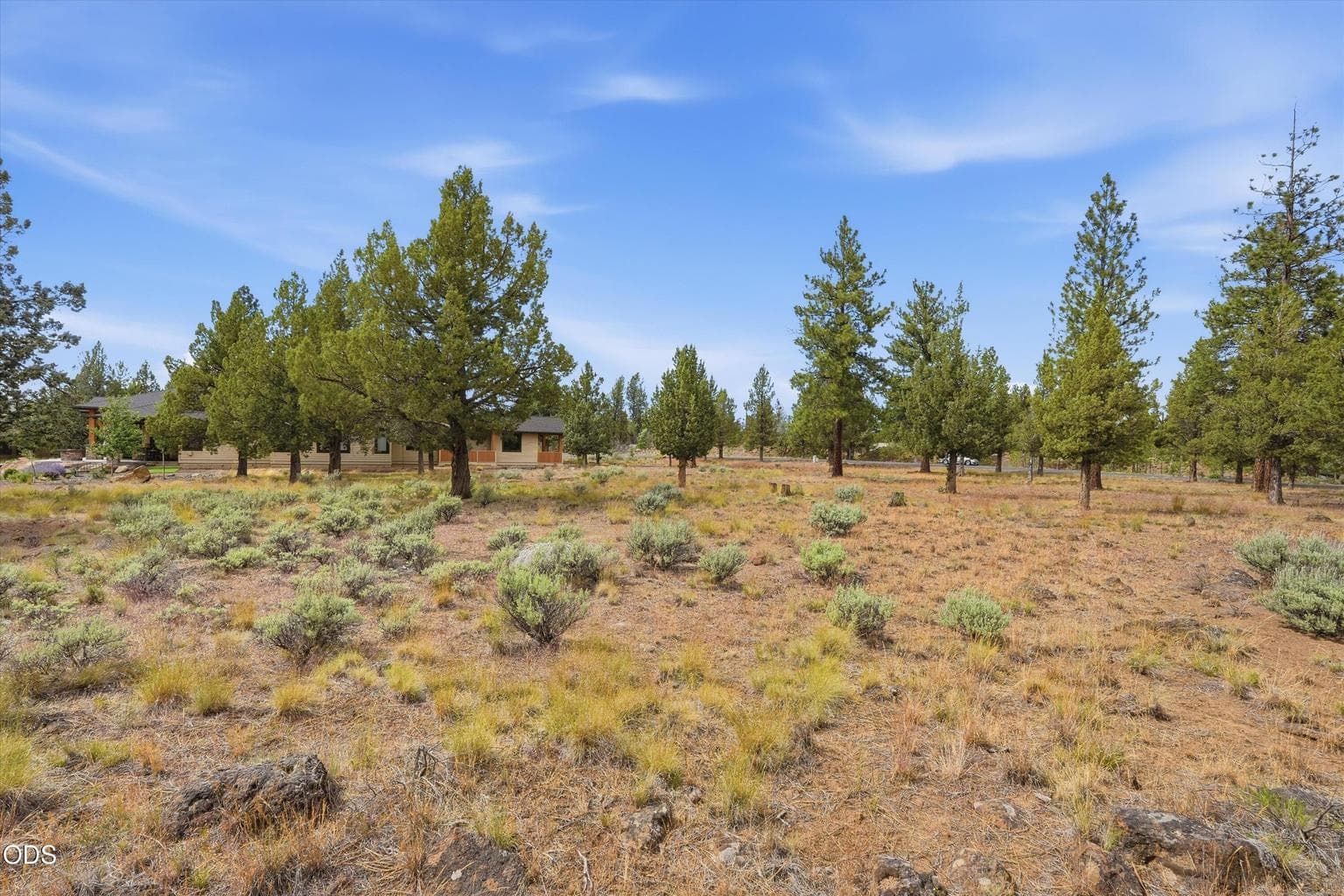 Photo of 17057 Golden Stone Drive 17 of 25
