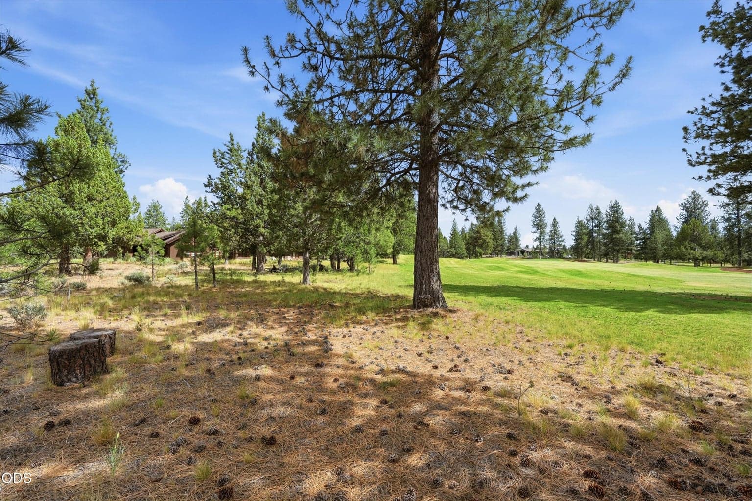 Photo of 17057 Golden Stone Drive 19 of 25