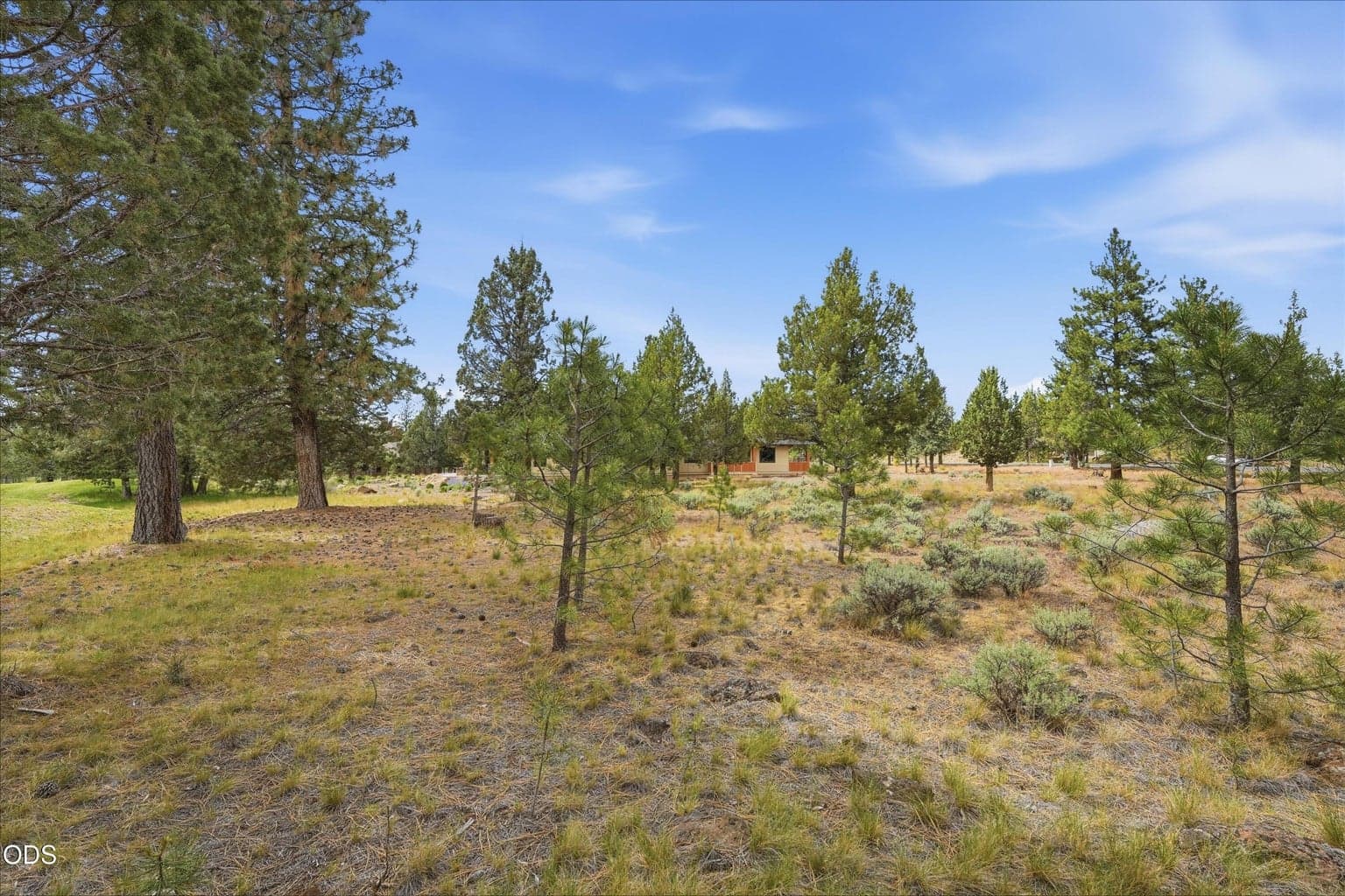 Photo of 17057 Golden Stone Drive 20 of 25