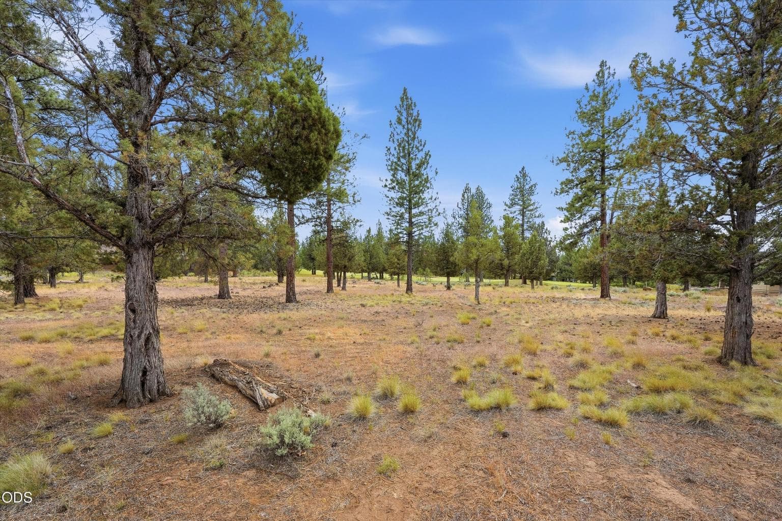 Photo of 17057 Golden Stone Drive 21 of 25