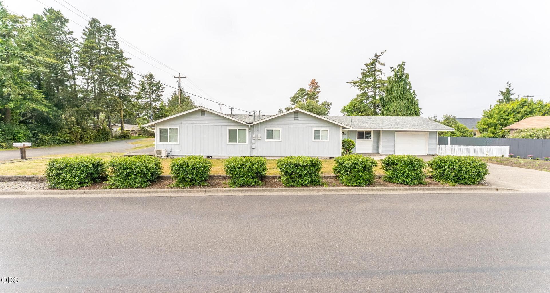 2025 Pine