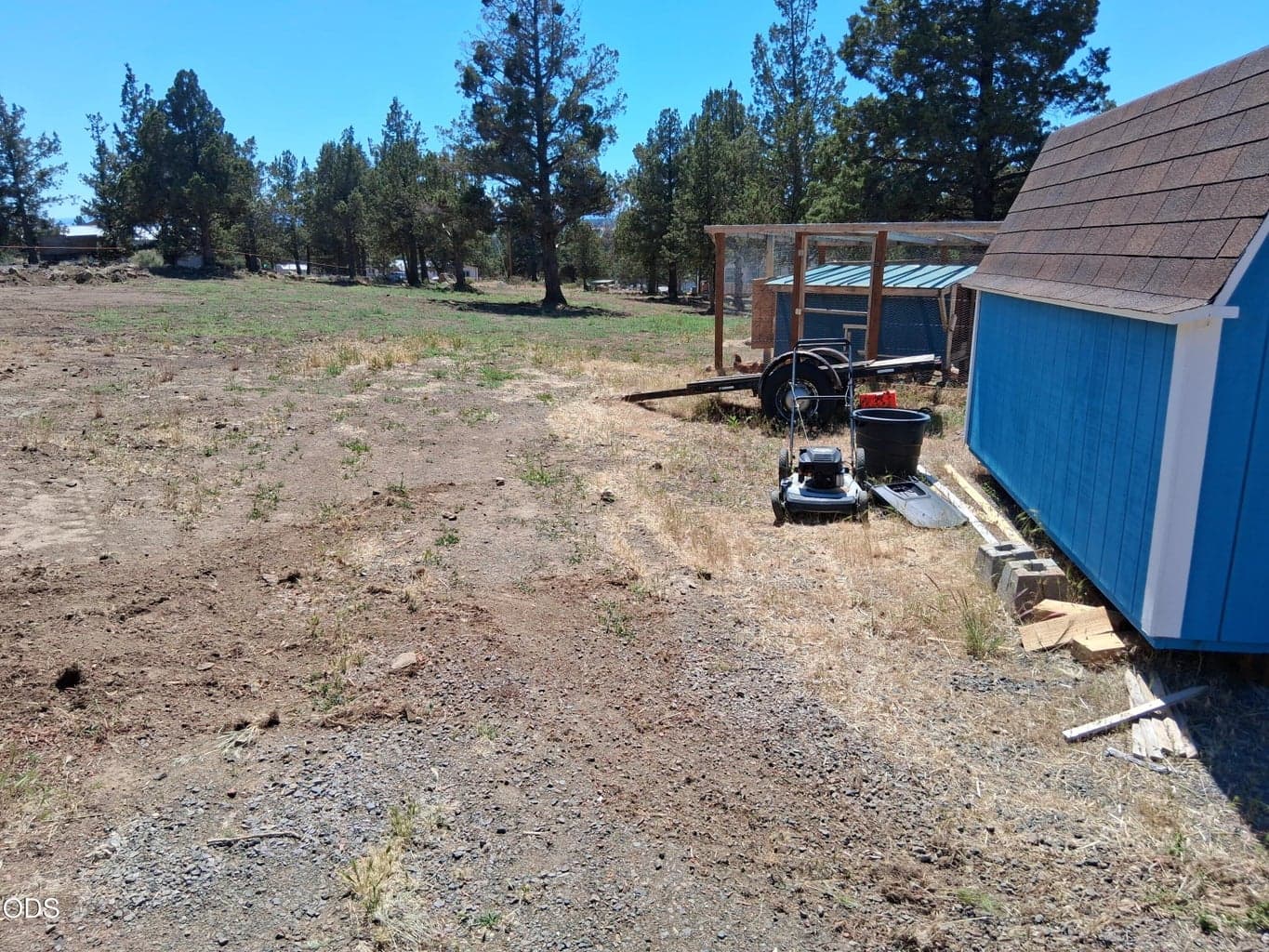 Chicken coop behind the shed