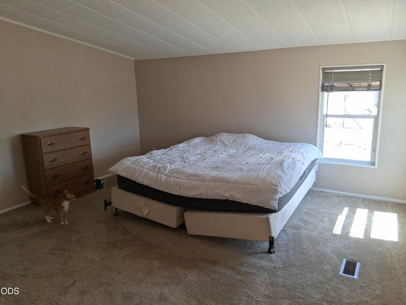 Primary Bedroom with walk in closet