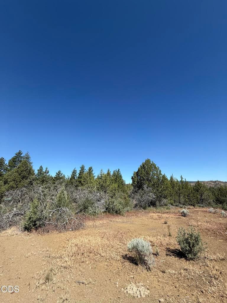 Photo of 0 0300 Sprague River 3 of 5