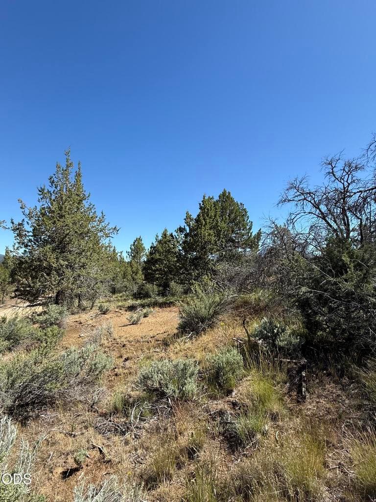 Photo of 0 0300 Sprague River 5 of 5