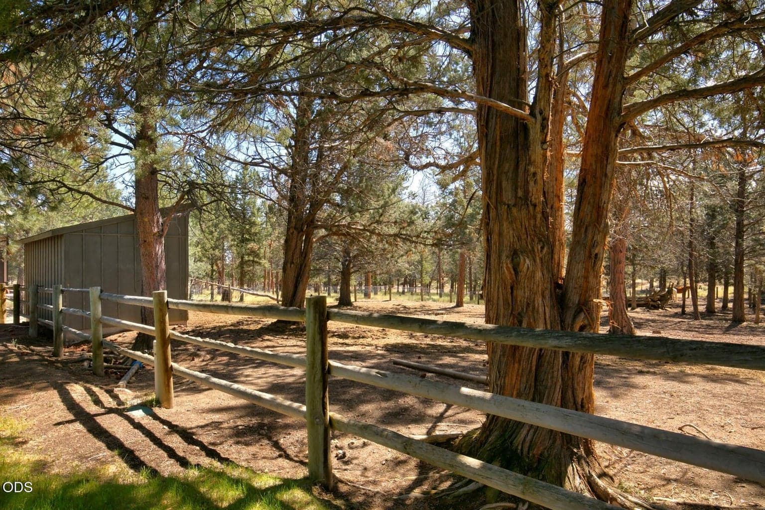 Photo of 16845 Varco Road 39 of 45