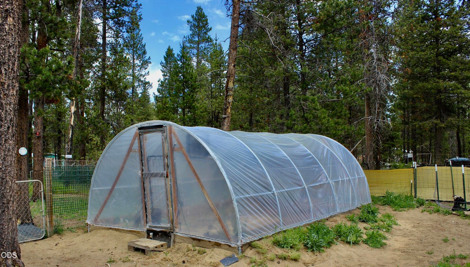 Greenhouse