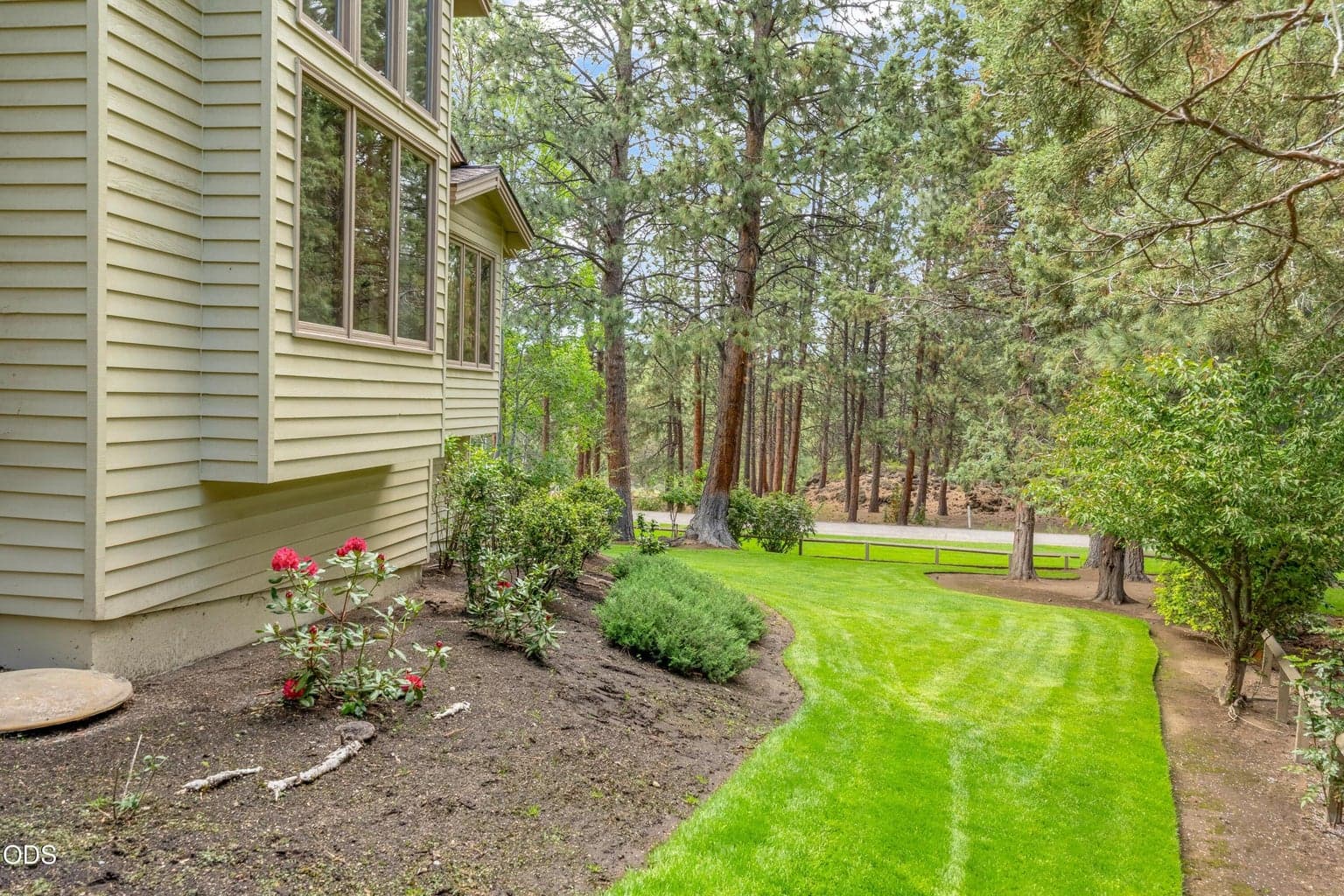 Side Yard
